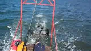 Loch Ryan Native Oyster Fishing