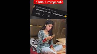 Is Koko Pregnant?