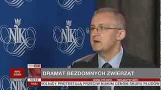 Raport Nik W Schroniskach Pada Co Czwarte Zwierzę Tvp Info, 05.08.2013