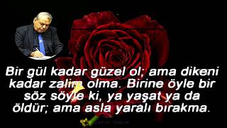 Mazlum Ol Zalim Olma
