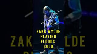 Zakk Wylde Floods Guitar Solo Live Impressing Phil Anselmo 2024 #Pantera