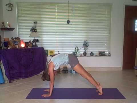 Day 14: Shiva Rea inspired Prana Vinyasa Practice-Vinyasa Yoga School