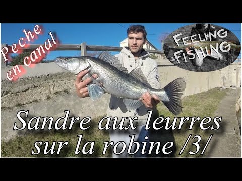 Fidernaya la pêche de la chasse de la brème