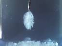 cristallizzazione;