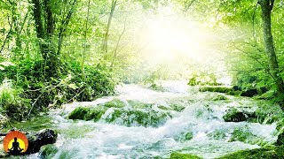Muziek om te Slapen, Kalmerende muziek, Stress Verlichting, Achtergrondmuziek, 8 Uur, โฏ3415