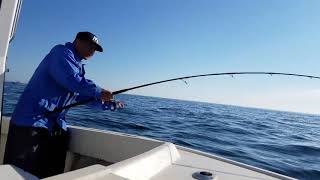 9'6" prototype Black Hole rod in action for striper