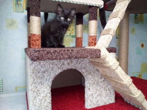 Двухэтажный домик для кошек своими руками Двухэтажный домик для кошек своими руками