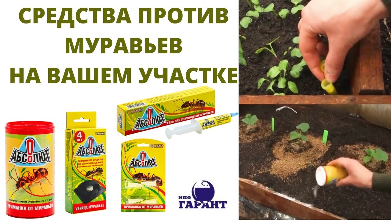 Может ли сигналка сажать аккумулятор в ноль 29