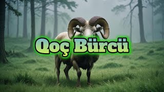 Qoç Bürcü. Həftəlik Bürc Proqnozu 15-21 Sentyabr