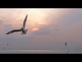 Sad Piano Music, Soothing Music, Relax, Meditation Music, Instrumental Music to Relax, ✿3015C