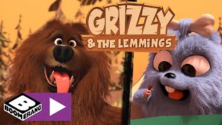 Grizzy En De Lemmings Voorouder Beer Cartoonito