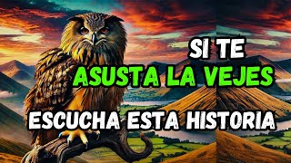 El Búho Que Enseña El Verdadero Significado De La Vejez Nimbo, El Búho Anciano
