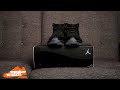 Air Jordan 11 "Gamma Blue" Video Review