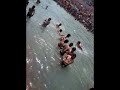 ITS MOHANAGAR ,BOYs HOSTEL BBA-BCA(2010-13) ...HARIDWAR TRIP