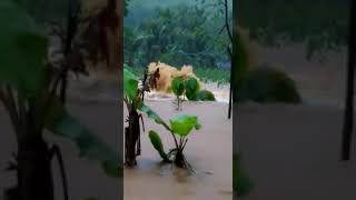 Meluapnya Mata Air Ngreneng Semanu Gunungkidul