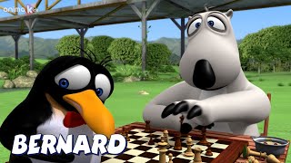Bernard Bear Chess And More Cartoons For Children Full Episodes