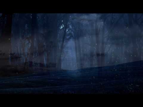 Curtains Video