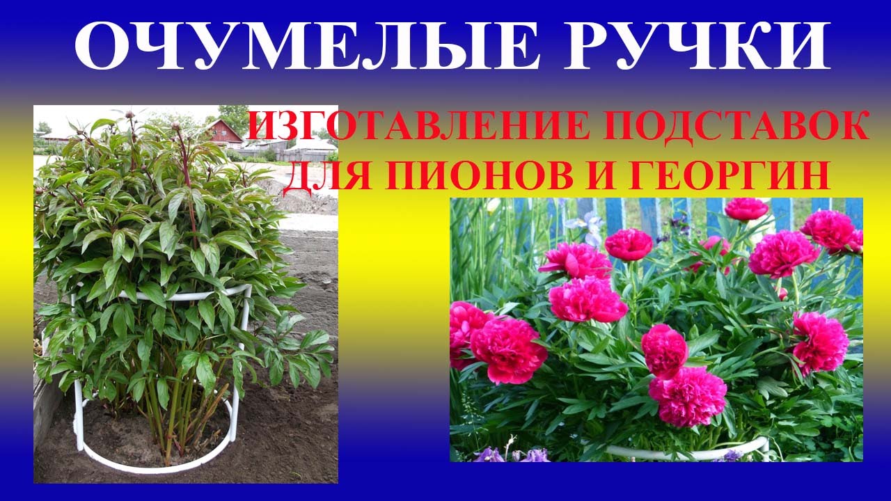 Подпорки для пиона своими руками