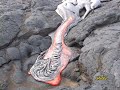 CSAV Hawaii: Lava Viewing 5 November 2009