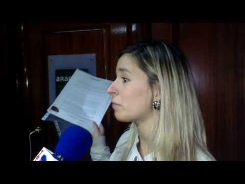 Bildu lleva hasta el Ararteko la falta de transparencia del equipo de gobierno