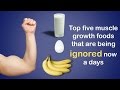 Top five muscle growth foods that are being ignored now a days - Onlymyhealth.com