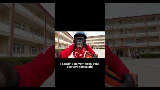 7Belaşempo Kuryeliğe Tekrar Başladım , Pişman Oldum. Maymun