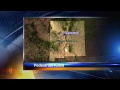 Clovis investigates fatal pedestrian crash