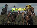 2010 Grand National Guide