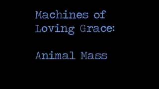 Watch Machines Of Loving Grace Animal Mass video