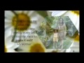 My Mother .flv