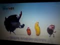 Larva Song images Larva Song