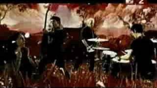 Watch Afi Rabbits Are Roadkill On Rt 37 video