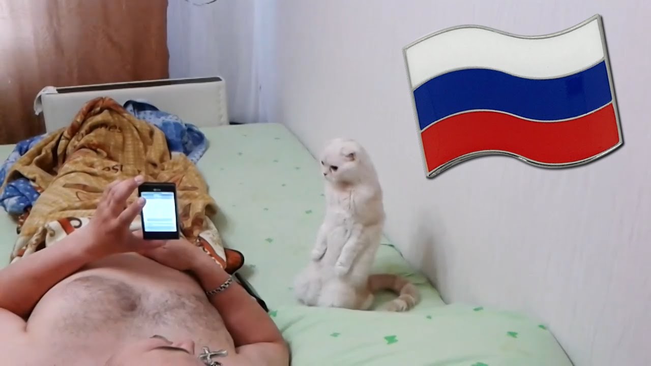 Viral russia