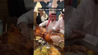 New Arabian Camel Party