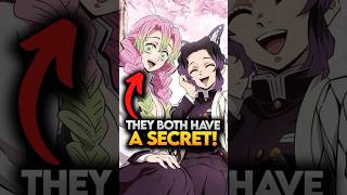 How Mitsuri And Shinobu Are The Best Duo In Entire Hashira Lineup?