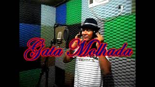 Gata Molhada - Antigas E Stories