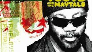 Watch Toots  The Maytals Beautiful Woman video