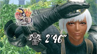 Monster Hunter Rise Solo Anjananth 246 Hbg