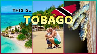 Tobago Travel Guide Trinidad & Tobago - Top Sights In 4K Drone