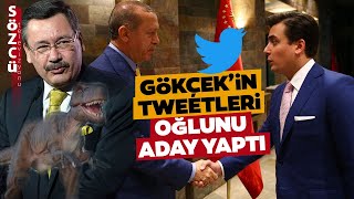 Melih Gökçek'in 'Tweetleri' İşe Yaradı! Oğlu Osman Gökçek AKP'den Vekil Adayı Ol