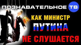 Как министр Путина не слушается (Познавательное ТВ, Антон Романов)