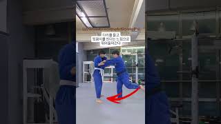 Seio -Nage Tutorial