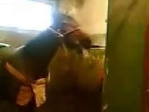 Таджик Секс Скачать Секретный Камера Таджик Секс Скачать Секретный Камера