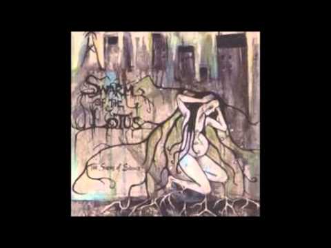 Hookworm Video