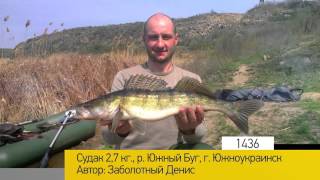 клев рыбы южноукраинск клев рыбы южноукраинск