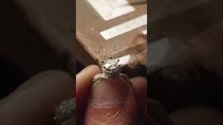 Thats Pretty Cool - Jewelry Collection