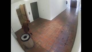 Food Delivery Driver Caught On Camera Defecating In Apartment Buildings Lobby
