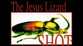 Watch Jesus Lizard Too Bad About The Fire video