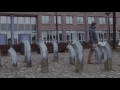 Tropfen Video preview