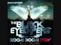 Paul van Dyk vs. The Black Eyed Peas - For An Ange